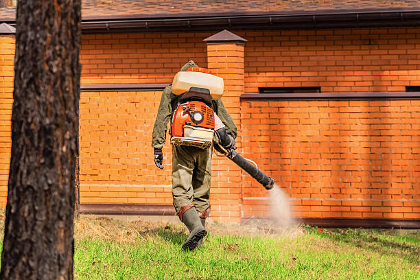 Trusted Mosquito Control service in Carlisle, AR - Nex Pest Control